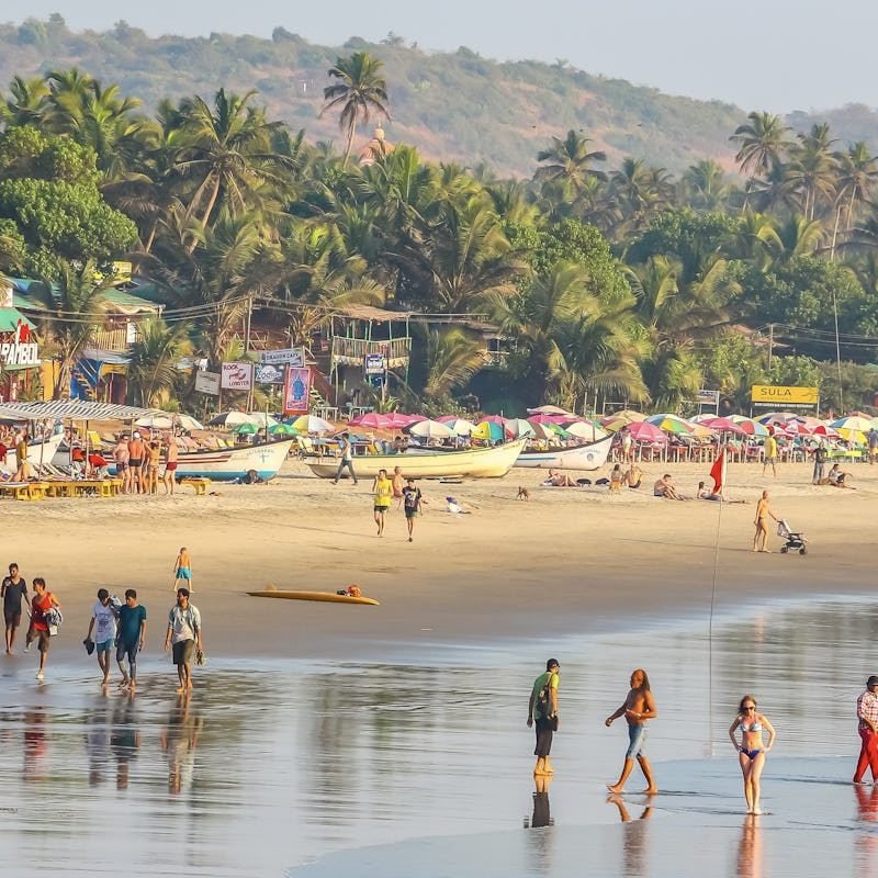 shutterstock2542346155-cropped